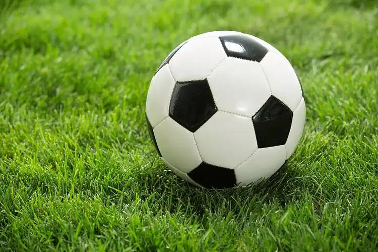 直播平台数据集成